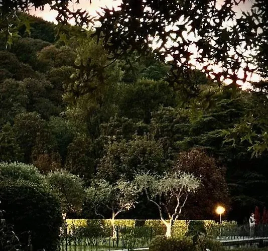 Apartman - Maderni View